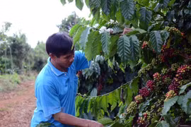 Aumentan exportaciones vietnamitas a Tailandia 