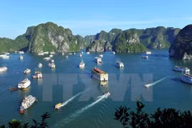 Consideran la bahía Ha Long de Vietnam entre las 25 maravillas naturales más bellas del mundo