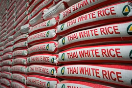 Lanzará Tailandia programa de precios de garantía para el arroz
