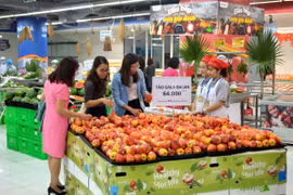 Instan a mejorar conectividad entre los minoristas en Vietnam 