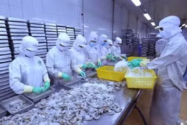 Se recupera exportación de camarones de Vietnam a China