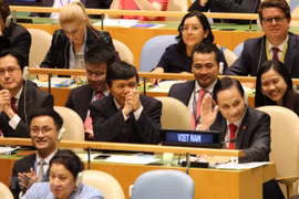 Prensa india alaba elección de Vietnam al Consejo de Seguridad de la ONU