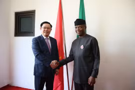 Desarrollo de Vietnam incentiva el progreso de Nigeria