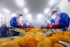 Alcanza Vietnam alto superávit comercial en primeros ocho meses del año