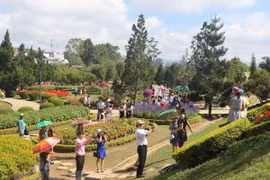 Anuncian en Vietnam celebración del Festival de Flores de Da Lat 