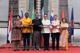 Celebran en Sudáfrica, Ucrania e Italia 52 aniversario de fundación de la ASEAN