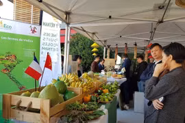Promoverá Vietnam sus productos agrícolas en Francia