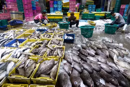  Estados Unidos suspende exención fiscal a algunos productos de Tailandia
