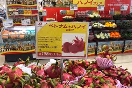 Fortalecen presencia de productos vietnamitas en Japón