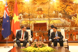 Promueven Hanoi y Nueva Zelanda cooperación en educación 
