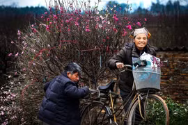 Exhibirán fotos sobre la belleza de Hanoi