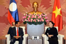 Robustecen cooperación entre parlamentos entre Vietnam y Laos 