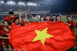 Copa Asiática 2019: Entrenador de selección vietnamita confía en un buen partido ante Iraq 