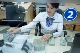 Alcanzan reservas de divisas de Vietnam récord de 68 mil millones de dólares