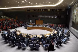 Apoya embajador indonesio elección de Vietnam como miembro del Consejo de Seguridad de la ONU