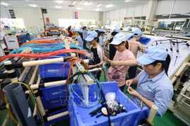 Provincia vietnamita de Vinh Phuc logra resultados económicos alentadores 