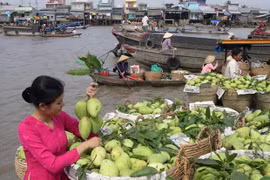 Respaldan el ingreso de productos agrícolas de Vietnam a Estados Unidos