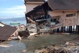 Mueren seis personas tras terremoto en Indonesia