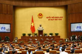 Evaluará Parlamento de Vietnam labores de prevención y lucha contra incendios