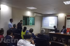 Impulsan Vietnam y Egipto cooperación en sectores potenciales
