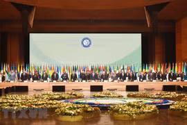 Asiste Vietnam a Cumbre de Movimiento de Países No Alineados 