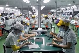 Participan más de 300 empresas vietnamitas en redes de producción multinacional