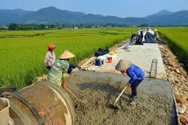 Evaluarán en Vietnam modernización de la ruralidad 