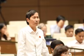 Destacan electores vietnamitas la gestión activa y flexible del Gobierno