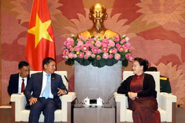 Recibe titular parlamentaria de Vietnam al Comandante de Myanmar