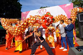 Festival de cultura vietnamita en Alemania