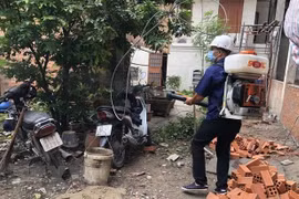 Aumentaron en Ciudad Ho Chi Minh casos de dengue en siete meses de 2019