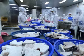 Vaticinan aumento del intercambio comercial Vietnam-EE.UU.