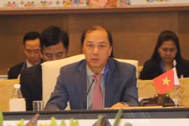 Exaltan aportes de reporteros extranjeros en Vietnam al desarrollo nacional