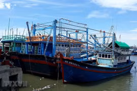 Provincia de Vietnam empeñada en reforzar combate contra la pesca ilegal