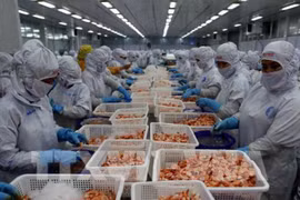 Registra Vietnam altos ingresos por exportaciones acuáticas en ocho meses de 2019
