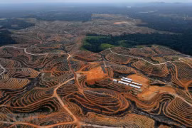 Pronostican que nueva capital de Indonesia atraerá a 1,5 millones de habitantes 