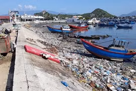 Fortalecen Vietnam y Japón cooperación en medio ambiente