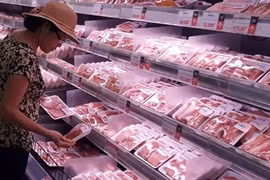 Asiste Dinamarca a Vietnam para la seguridad alimentaria de la carne de cerdo