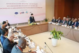 Vietnam busca intensificar relaciones con Medio Oriente y África