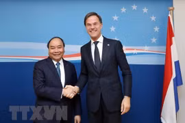 Planean Vietnam y Países Bajos establecer asociación integral