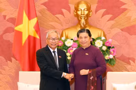 Visitan Vietnam altos funcionarios de Liga Nacional para la Democracia de Myanmar 