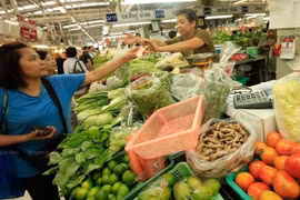 Aprueba Tailandia fondo de asistencia a agricultores para 2020