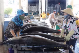 Vietnam- mayor exportador de atún enlatado a Estados Unidos