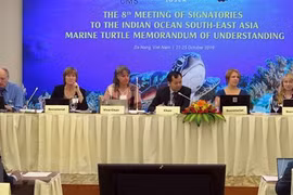  Vietnam se une a los esfuerzos mundiales para proteger a las tortugas marinas