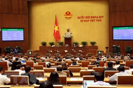 Aprueba Parlamento vietnamita Código del Trabajo (enmendado)