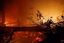 Afectaron los incendios forestales en Indonesia más de 1,6 millones de hectáreas 