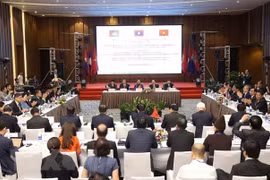 Destacan papel parlamentario en cooperación en el Área del Triángulo de Desarrollo Camboya-Laos-Vietnam