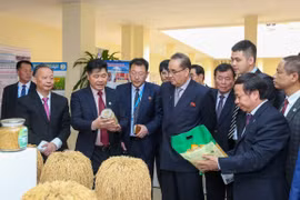  Cumple delegación partidista de Corea del Norte intensa agenda durante visita a Vietnam