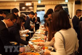 Vietnamitas en Japón y Mozambique saludan Año Nuevo Lunar 