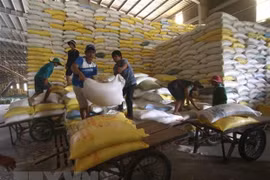 África sigue siendo un mercado potencial para Vietnam en medio del COVID-19